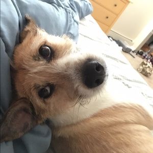 Meet your Posher, Julie